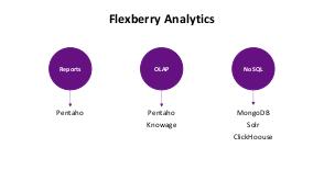Технологическая программная платформа Flexberry.pdf
