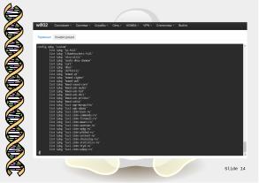 СПО и технологическая некромантия в медико-биологическом преподавании (Денис Зайка, OSEDUCONF-2026).pdf
