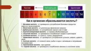 Healthy lifestyle workshop (Мария Точенова, LVEE-2019).pdf