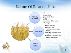 Разработка и исследование моделей временных данных со смешанными частотами на примере анализа урожайности зерновых.pdf