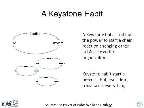 Using Keystone Habits to Transform Enterprises and Achieve Sustainable Organizational Agility (Ahmed Sidky, AgileDays-2014).pdf