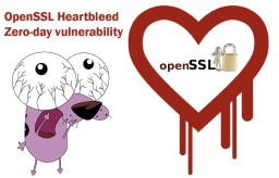 OpenSSL-Heartbleed-logo.jpg